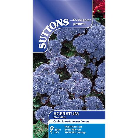 SUTTONS AGERATUM 'BLUE MINK' - SEEDS