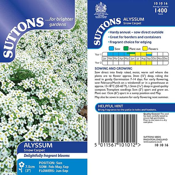 SUTTONS ALYSSUM 'SNOW CARPET (IMPROVED STRAIN)' - SEEDS