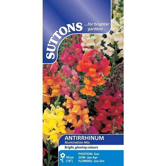 SUTTONS ANTIRRHINUM 'ILLUMINATION MIX' - SEEDS