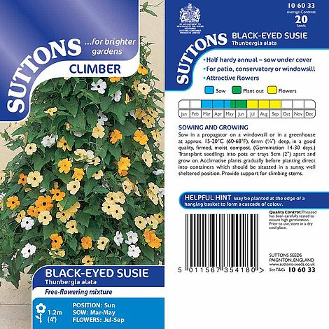 SUTTONS 'BLACK-EYED SUSIE' - SEEDS