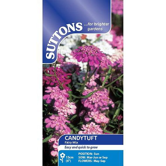 SUTTONS CANDYTUFT 'FAIRY MIX' - SEEDS