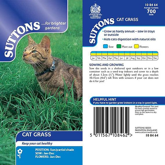 SUTTONS CATS GRASS - SEEDS