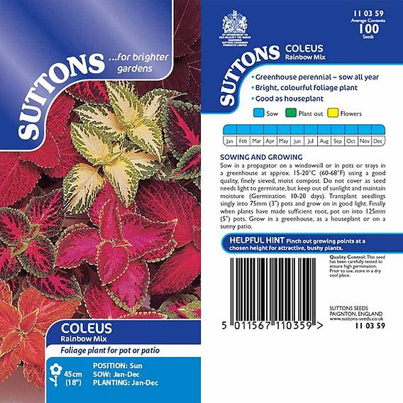 SUTTONS COLEUS 'RAINBOW MIX' - SEEDS