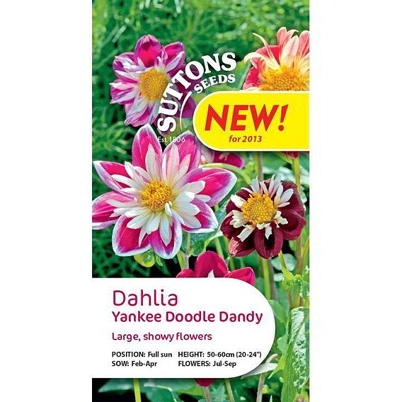 SUTTONS DAHLIA 'YANKEE DOODLE DANDY' - SEEDS