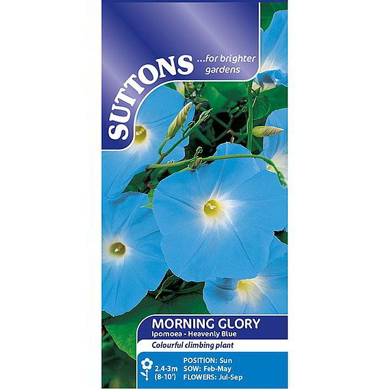 SUTTONS MORNING GLORY 'HEAVENLY BLUE' - SEEDS