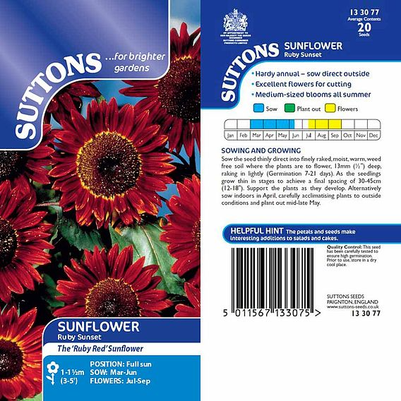 SUTTONS SUNFLOWER 'RUBY SUNSET' - SEEDS