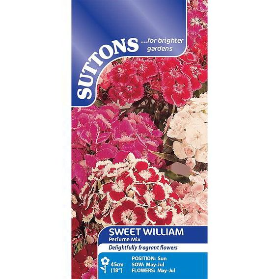 SUTTONS SWEET WILLIAM 'PERFUME MIX' - SEEDS