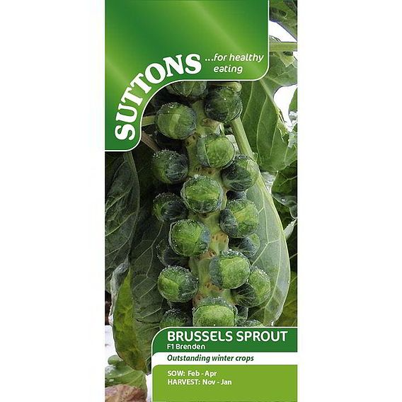 SUTTONS BRUSSELS SPROUT F1 'BRENDAN' - SEEDS