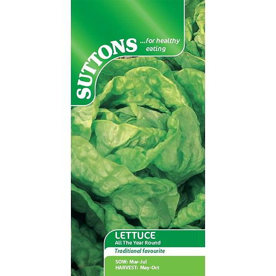 SUTTONS LETTUCE 'ALL THE YEAR ROUND' - SEEDS