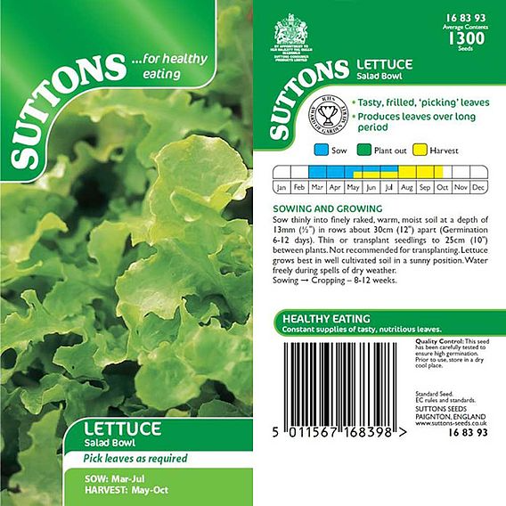 SUTTONS LETTUCE 'SALAD BOWL' - SEEDS