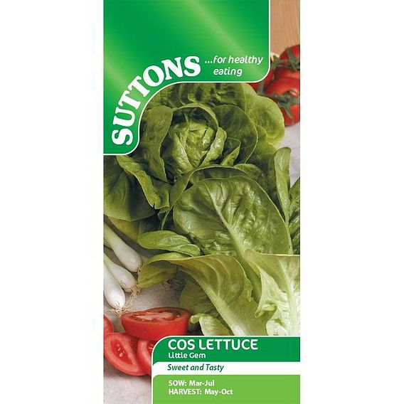 SUTTONS LETTUCE 'LITTLE GEM' - SEEDS