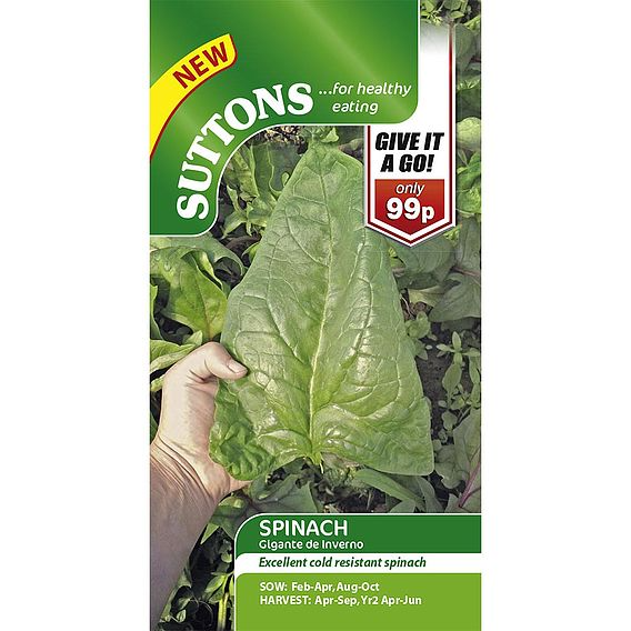 SUTTONS SPINACH 'GIGANTE D'INVERMO' - SEEDS