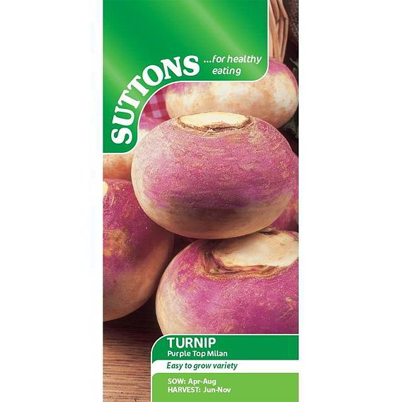 SUTTONS TURNIP 'PURPLE TOP MILAN' - SEEDS