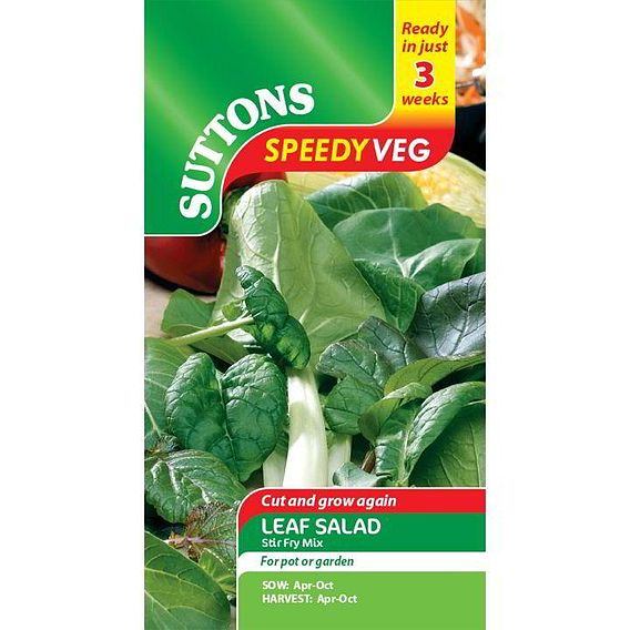 SUTTONS LEAF SALAD STIR FRY MIX - SPEEDY VEG SEEDS