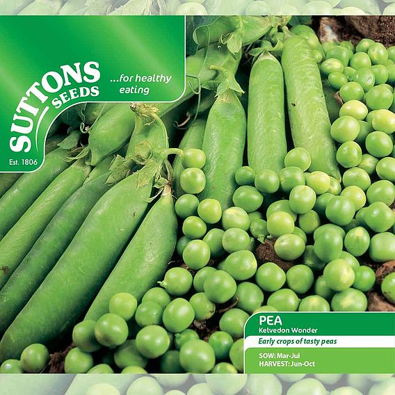 SUTTONS PEA 'KELVEDON WONDER' - SEEDS