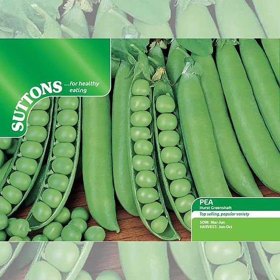 SUTTONS PEA 'HURST GREENSHAFT' - SEEDS