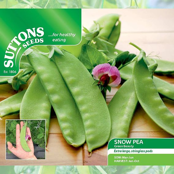 SUTTONS SNOW PEA 'GREEN BEAUTY' - SEEDS