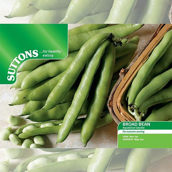 SUTTONS BROAD BEAN 'AQUADULCE CLAUDIA' - SEEDS