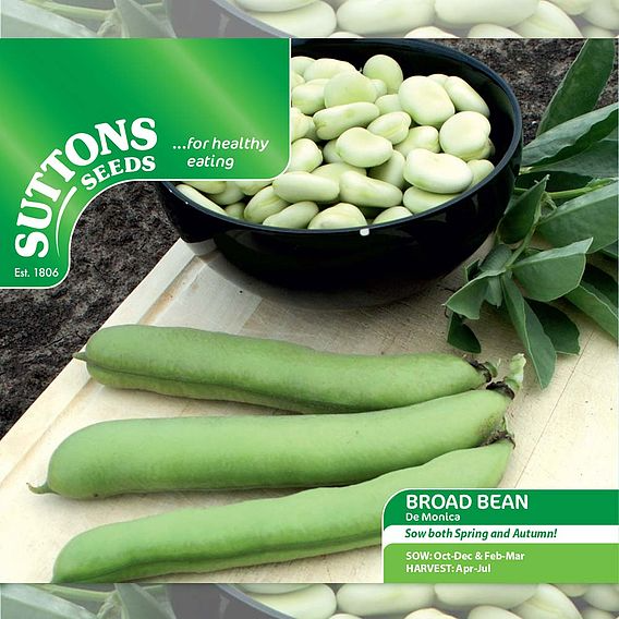 SUTTONS BROAD BEAN 'DE MONICA' - SEEDS