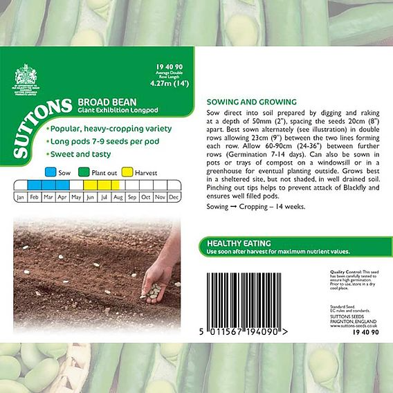 SUTTONS BROAD BEAN 'GIANT EXHIBITION LONGPOD' - SEEDS