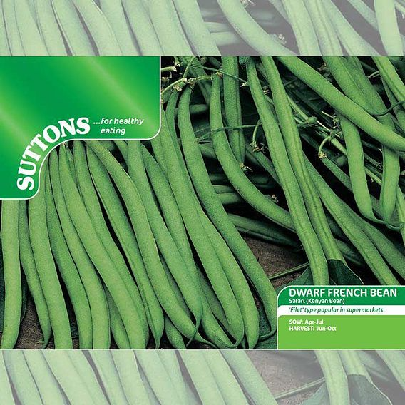 SUTTONS DWARF FRENCH BEAN 'SAFARI' - SEEDS