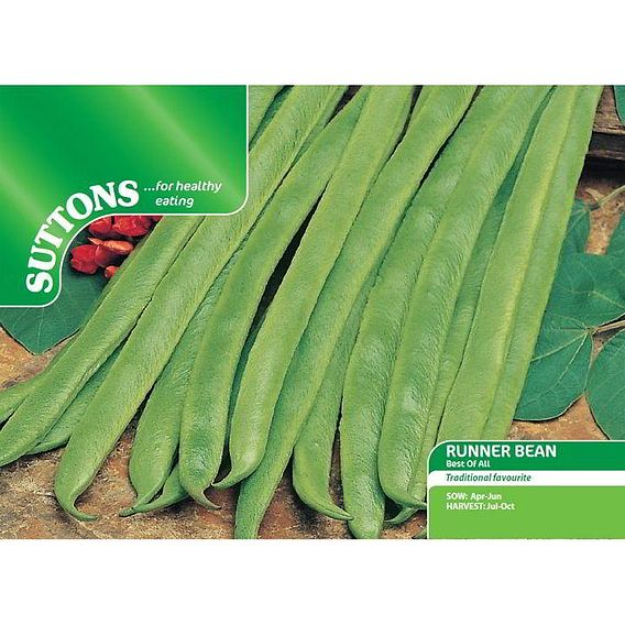 SUTTONS RUNNER BEAN 'BEST OF ALL' - SEEDS