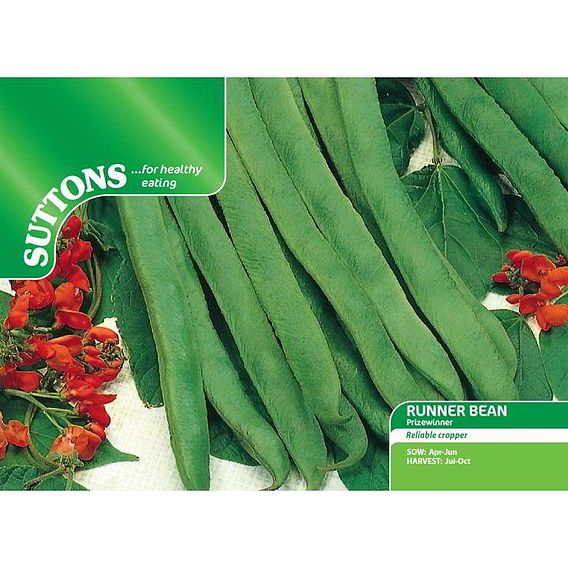 SUTTONS RUNNERBEAN 'PRIZEWINNER' - SEEDS