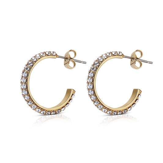 NEWBRIDGE HOOP EARRINGS WITH GOLDEN HONEY STONES