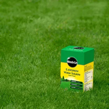 MIRACLE-GRO EVERGREEN WATER SOLUBLE LAWN FOOD 1KG