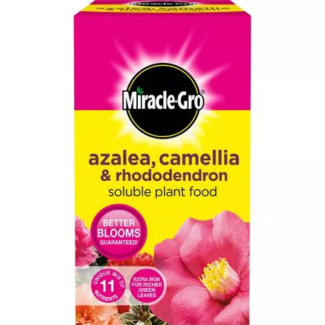 MIRACLE-GRO ERICACEOUS PLANT FOOD 1KG