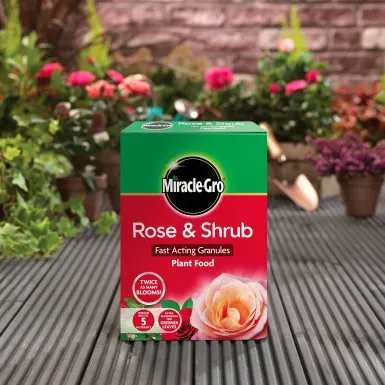 MIRACLE-GRO ROSE & SHRUB FAST ACTING GRANULES PLANT FOOD 3KG