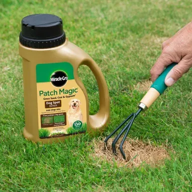 MIRACLE-GRO PATCH MAGIC DOG SPOT REPAIR