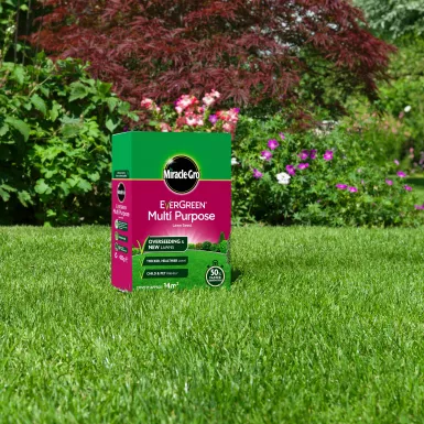 MIRACLE-GRO EVERGREEN MULTI-PURPOSE GRASS SEED 420G