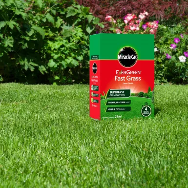 MIRACLE-GRO EVERGREEN FAST GRASS LAWN SEED 840G (28M2)