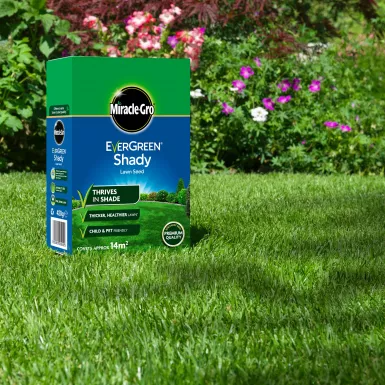 MIRACLE-GRO EVERGREEN SHADY GRASS SEED 420G