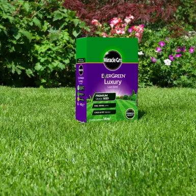 MIRACLE-GRO EVERGREEN LUXURY GRASS SEED 420G