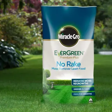 MIRACLE-GRO PREMIUM PLUS NO RAKE MOSS REMOVER 200M² 20KG