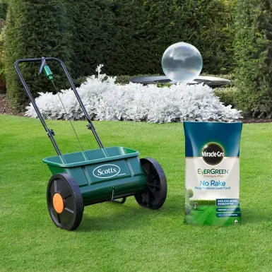 MIRACLE-GRO PREMIUM PLUS NO RAKE MOSS REMOVER 200M² 20KG