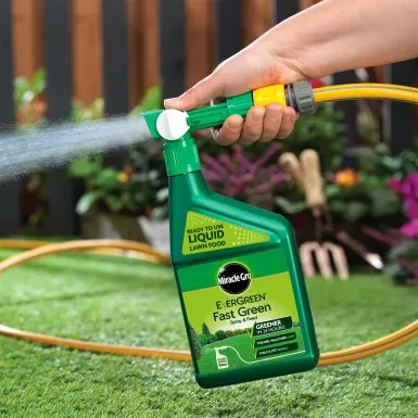 MIRACLE-GRO EVERGREEN FAST GREEN SPRAY & FEED 1L