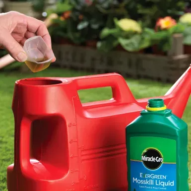 MIRACLE-GRO EVERGREEN MOSSKILL LIQUID 1L