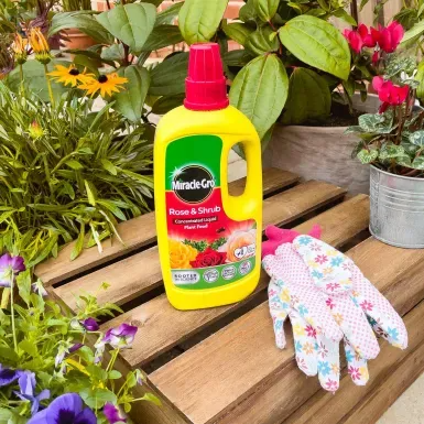 MIRACLE-GRO ROSE AND SHRUB CONCENTRATE 1 LITRE