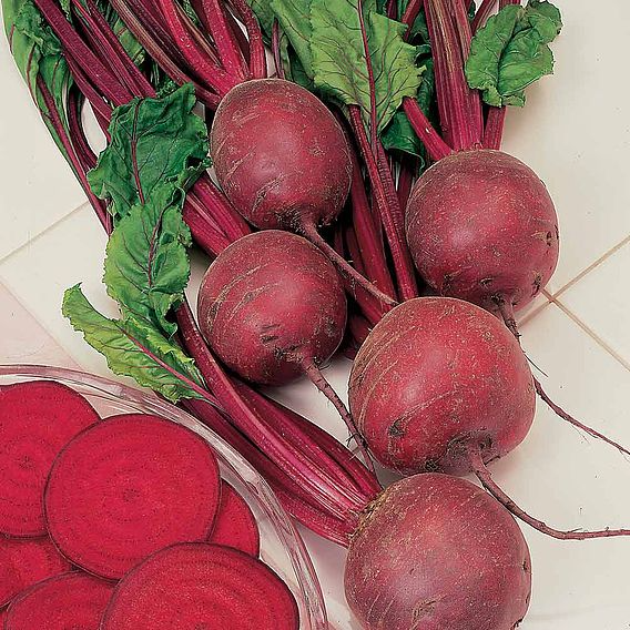 SUTTONS BEETROOT 'PABLO' F1 - SEEDS