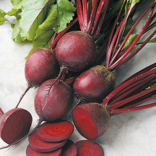 SUTTONS BEETROOT 'PABLO' F1 - SEEDS