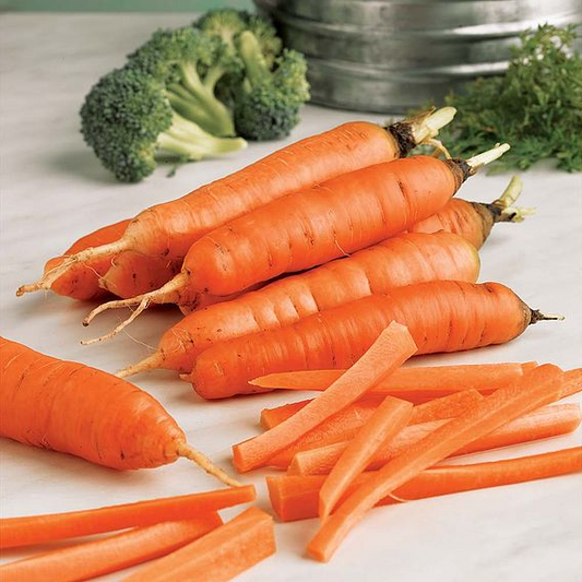 SUTTONS CARROT 'EARLY NANTES 5' - SEEDS