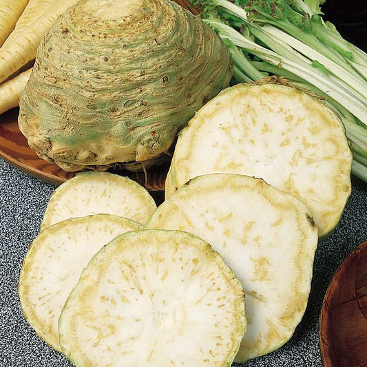 SUTTONS CELERIAC 'MONARCH' - SEEDS