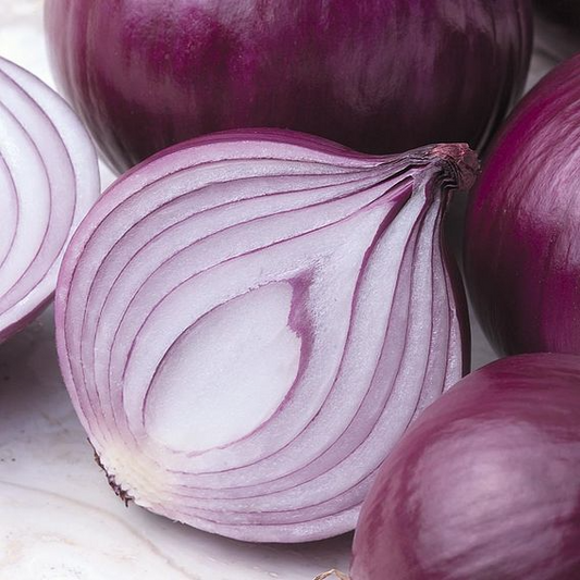 SUTTONS ONION F1 'KAMAL' - SEEDS