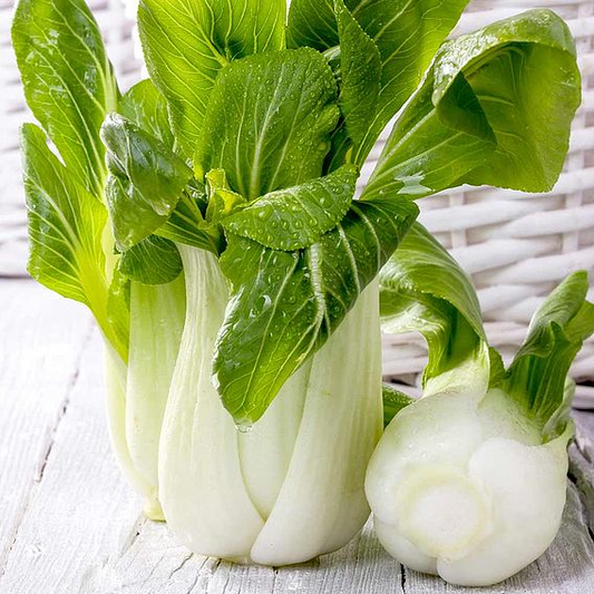 SUTTONS PAK CHOI F1 'HANAKAN' - SEEDS