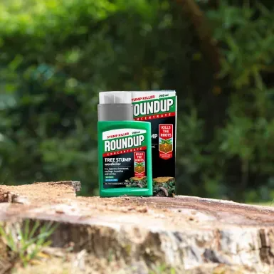 ROUNDUP TREE STUMP & ROOT KILLER 250ML