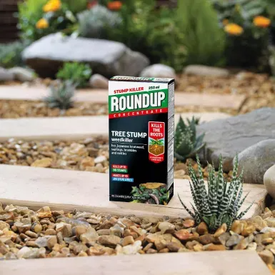 ROUNDUP TREE STUMP & ROOT KILLER 250ML