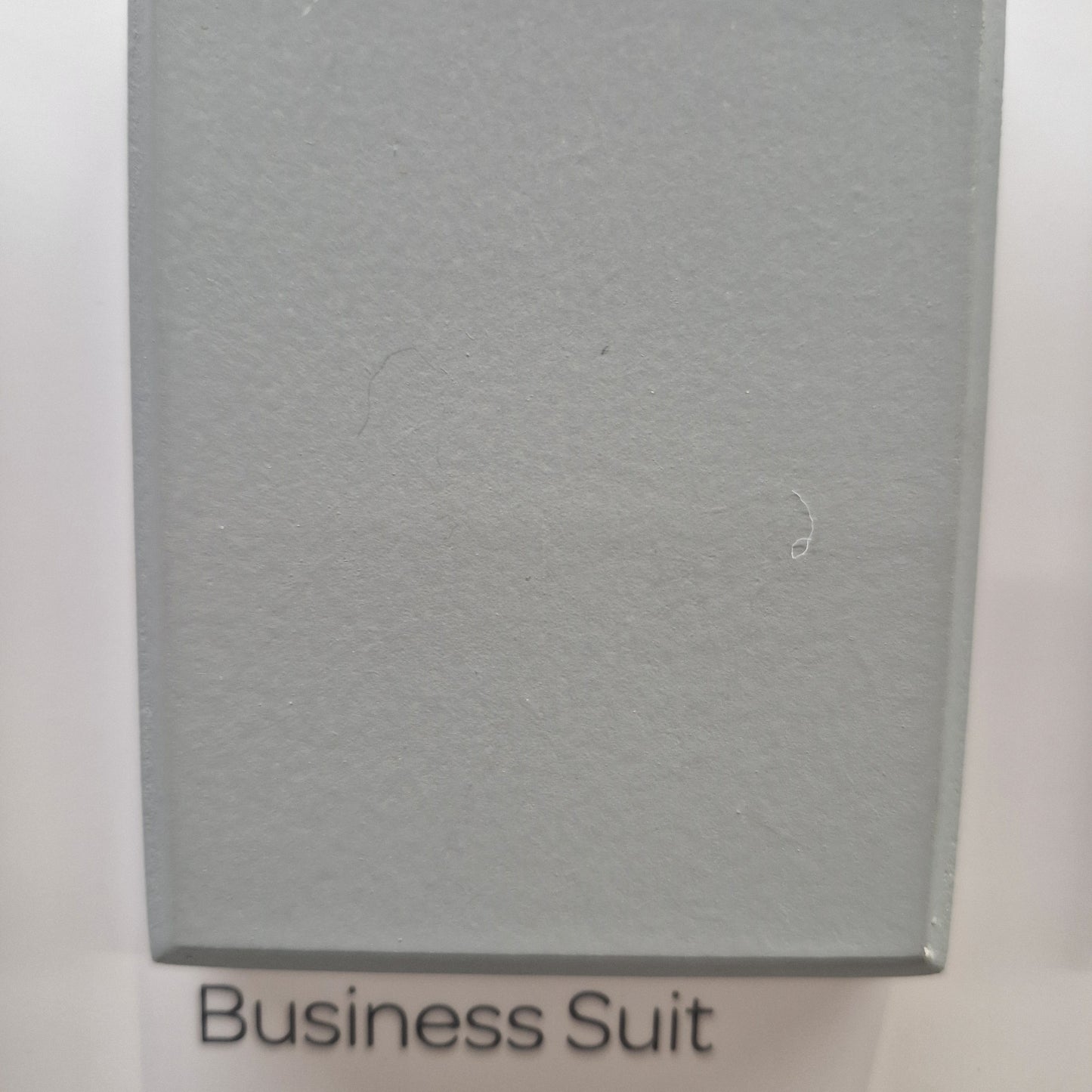 CROWN BUSINESS SUIT PAINT